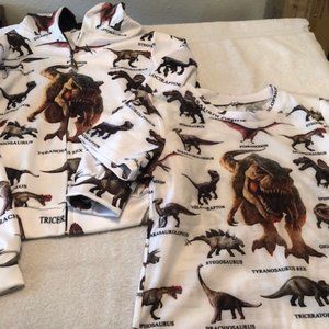 Boys Dinosaur T-shirt/Sweatshirt Combo Size Small